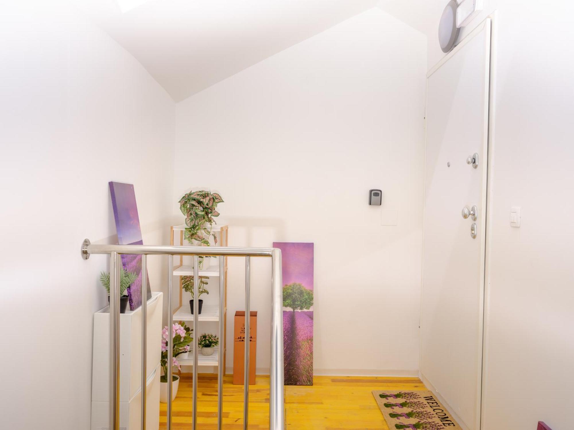 Seaview Apartments Roberta زادار المظهر الخارجي الصورة